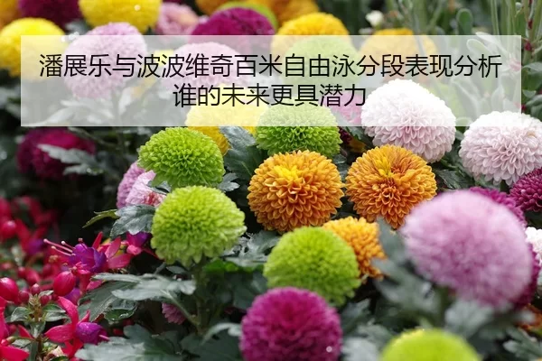 潘展乐与波波维奇百米自由泳分段表现分析谁的未来更具潜力